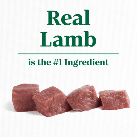 Lamb & Potato Recipe image 1