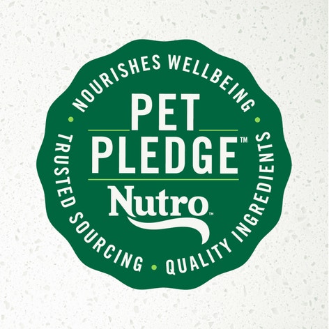 Signature Duck Entrée With Spring Vegetables and a Hint of Basil Filets in Gravy image 1