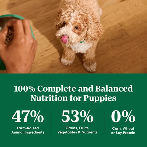 Puppy Farm-Raised Chicken & Brown Rice Recipe image 1