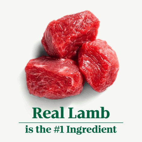 Large Breed Adult Lamb & Brown Rice Recipe image 1