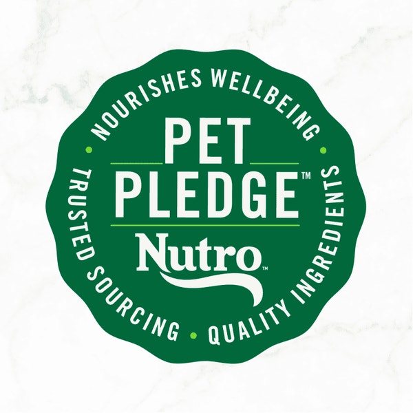 Nutro So Simple Wet Dog Chicken & Chicken and Duck image 5