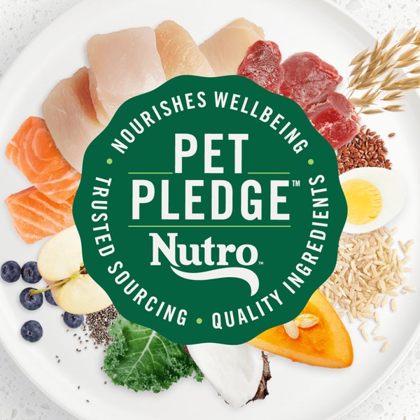 Puppy, The Superfood Plate with a Trio of Proteins from Chicken, Lamb and Salmon image 4