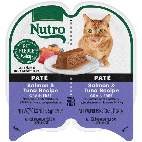 Salmon & Tuna Recipe Paté image 1