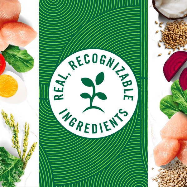 Adult Small Bites Farm-Raised Chicken & Brown Rice Recipe image 4