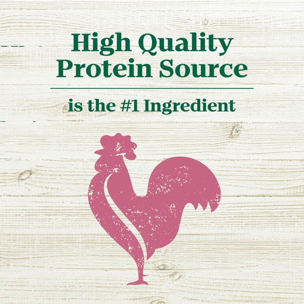 Nutro Max Minichunks Chicken image 2