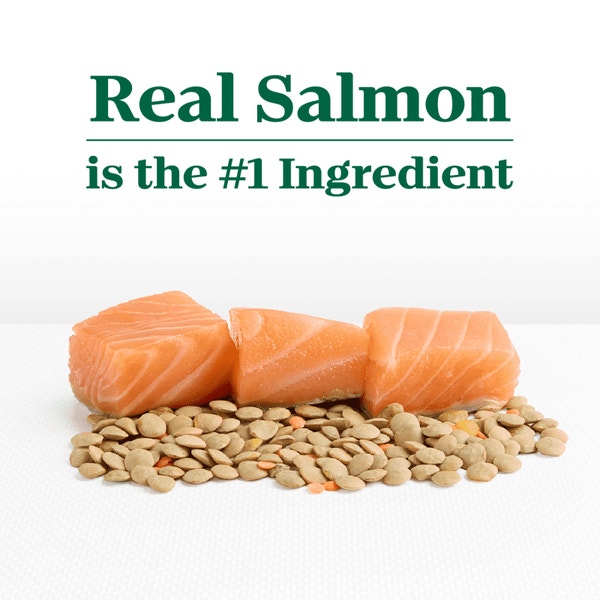 Adult Salmon & Lentils Recipe image 2