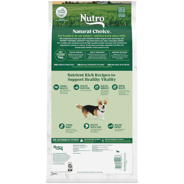 Nutro wholesome essentials large breed puppy farm raised chicken shop