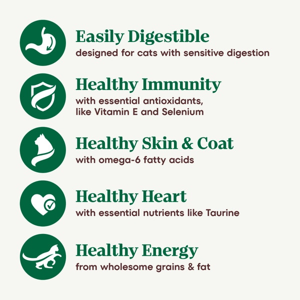 Sensitive Adult Formula with Chicken, Rice & Peas Recipe image 3