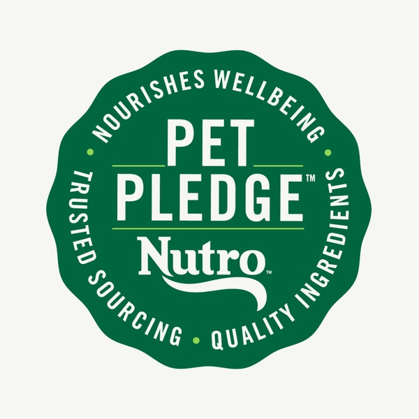 Nutro Perfect Portions Wet Cat Food Pate Salmon & Chicken Variety Pack image 4