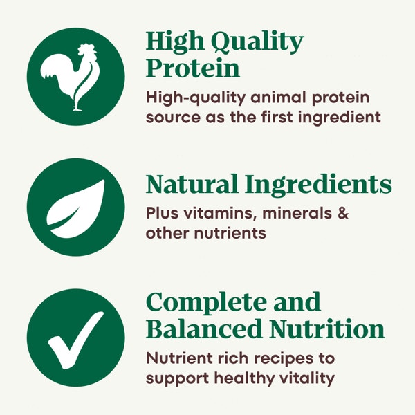 Slow Cooked Chicken Recipe image 3