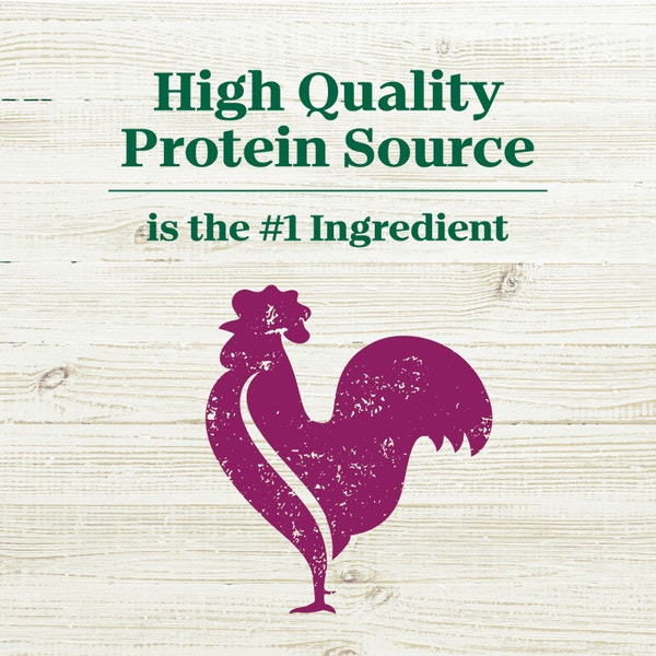 Nutro Max Adult Chicken image 2