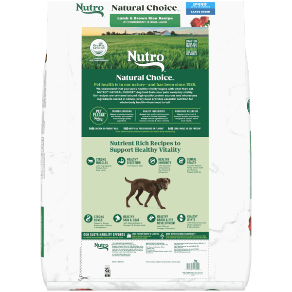 Large breed puppy food comparison 2025