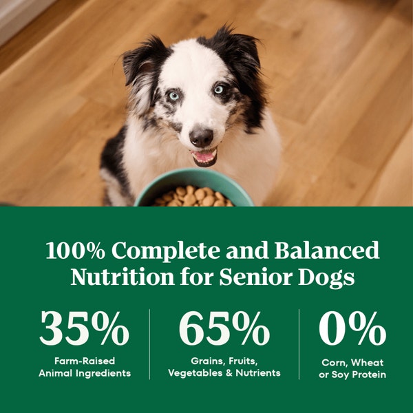Natural Choice Senior Dog Food, Lamb & Brown Rice image 4