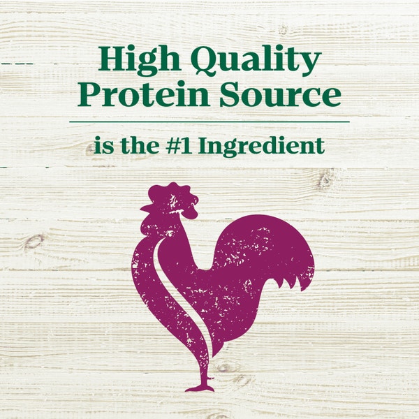 Nutro Max Adult Chicken image 2