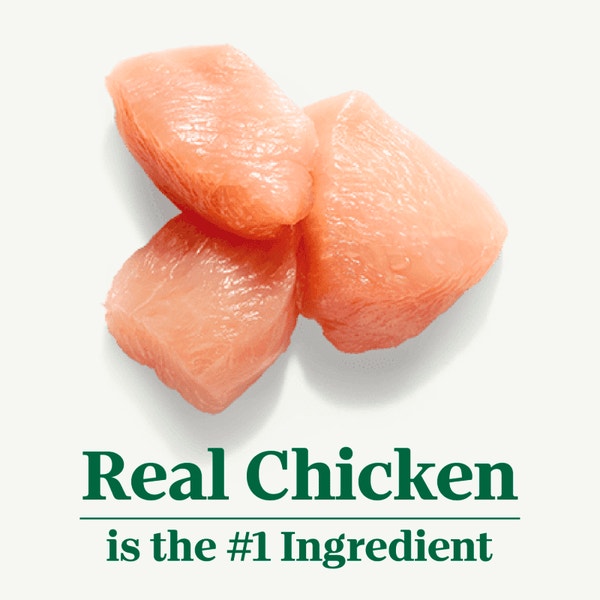 Adult Indoor Formula with Chicken & Brown Rice Recipe image 2