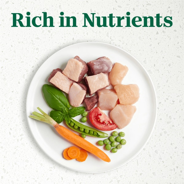 Signature Duck Entrée With Spring Vegetables and a Hint of Basil Filets in Gravy image 4