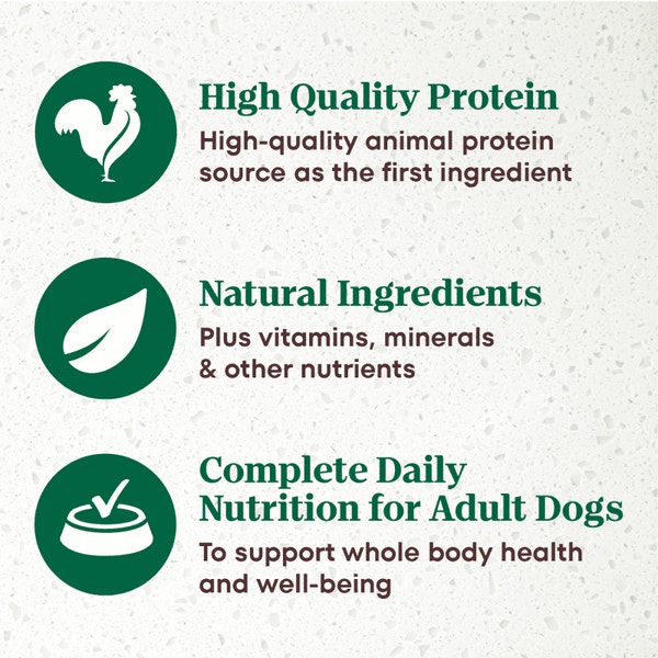 Signature Duck Entrée With Spring Vegetables and a Hint of Basil Filets in Gravy image 3