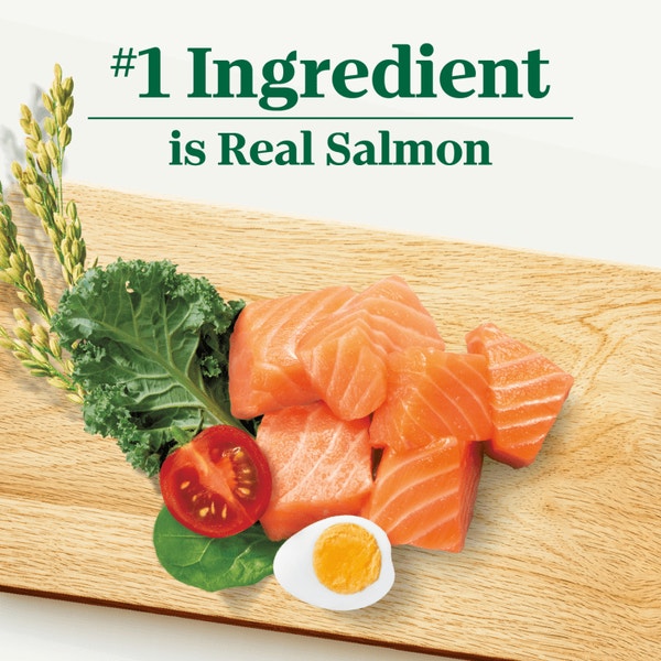 Natural Choice Adult Small Bites Dog Food, Salmon & Brown Rice image 2