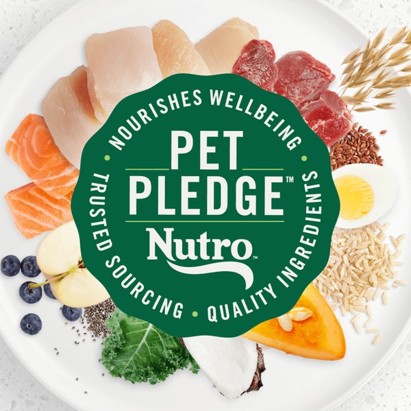 Puppy, The Superfood Plate with a Trio of Proteins from Chicken, Lamb and Salmon image 4