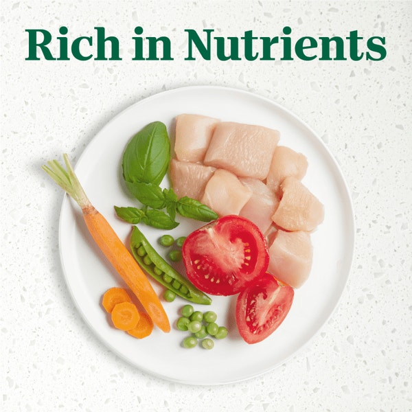 Deluxe Chicken Entrée with Tomatoes, Spring Vegetables and a Hint of Basil Filets in Gravy image 4