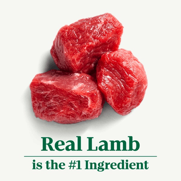 Adult Small Bites Lamb & Brown Rice Recipe image 2