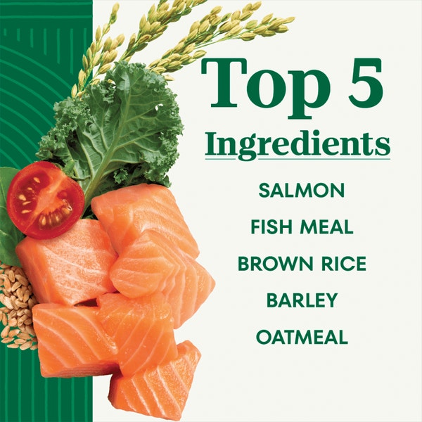 Natural Choice Adult Large Breed Dog Food Dry, Salmon & Brown Rice image 2