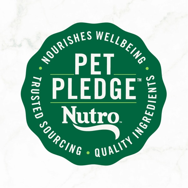 Nutro So Simple Wet Dog Chicken and Duck image 5