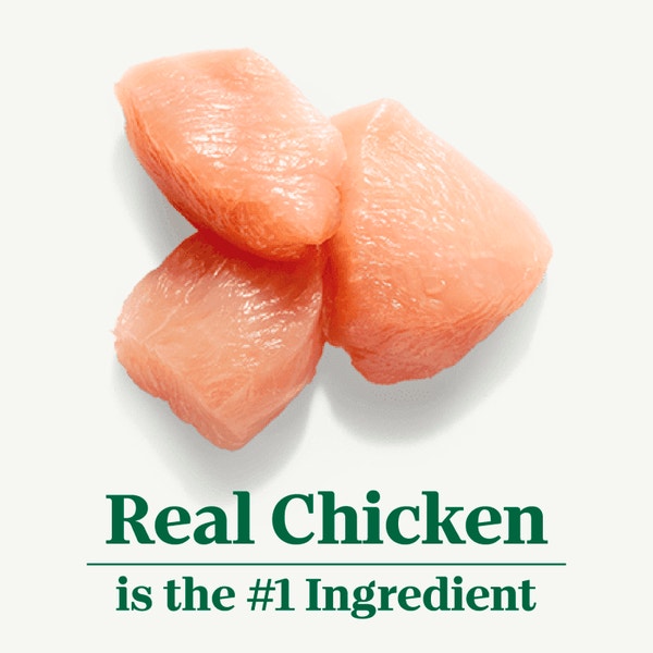Large Breed Puppy Farm-Raised Chicken & Brown Rice Recipe image 2