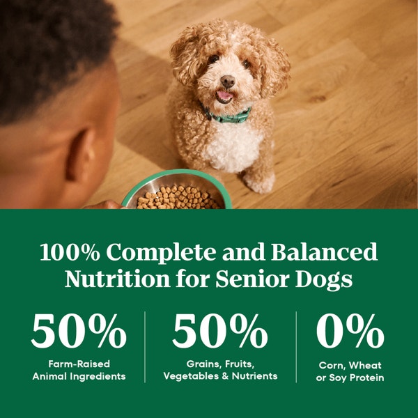 Natural Choice Small Breed Senior Dog Food, Chicken & Brown Rice image 4