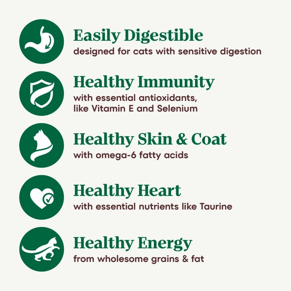 Sensitive Adult Formula with Chicken, Rice & Peas Recipe image 3
