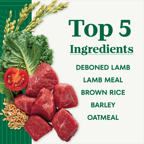 Adult Lamb & Brown Rice Recipe image 2