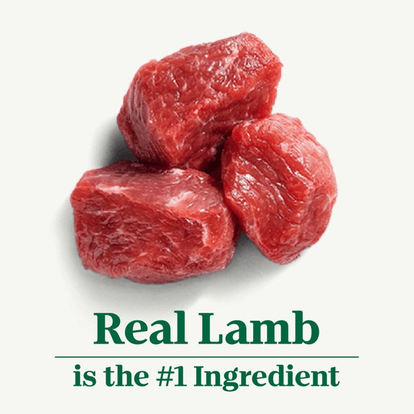 Meaty Lamb, Green Bean & Carrot Stew Recipe image 2