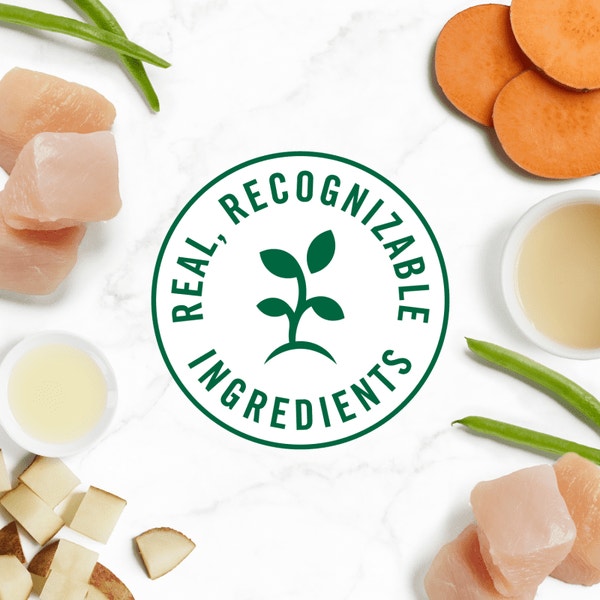 Nutro So Simple Wet Dog Chicken image 4