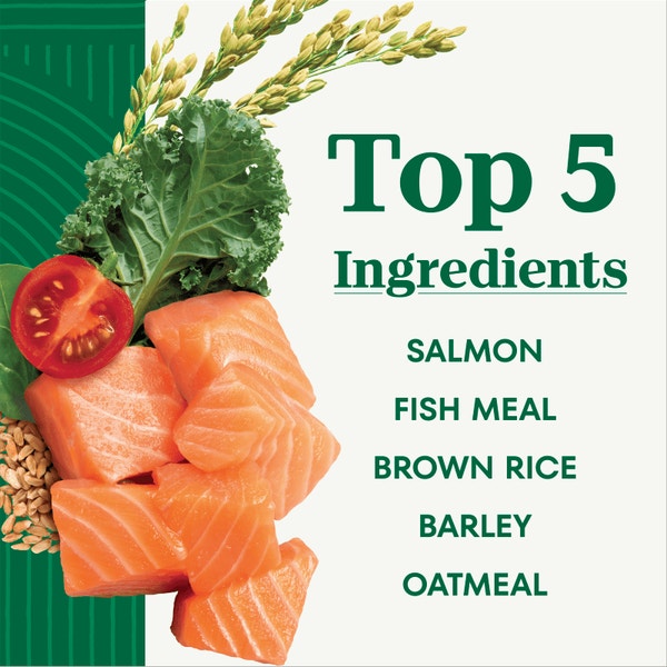 Natural Choice Adult Small Bites Dog Food, Salmon & Brown Rice image 2