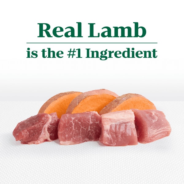 Adult Lamb & Sweet Potato Recipe image 2