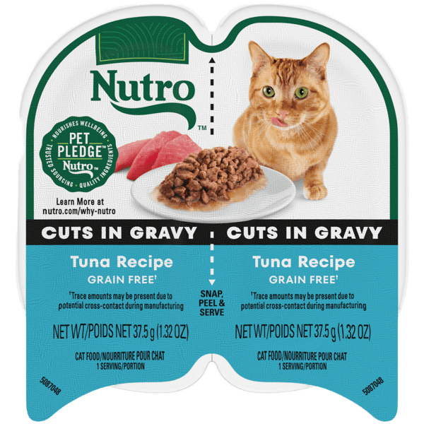Tuna Recipe Cuts in Gravy