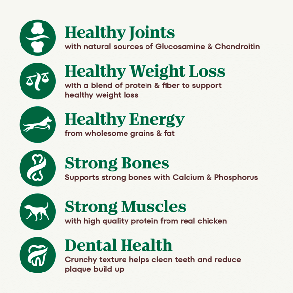 Nutro large breed weight management outlet