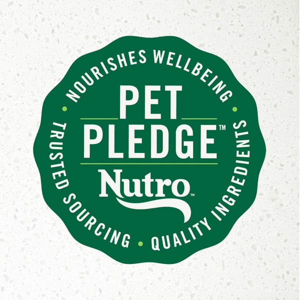 Signature Duck Entrée With Spring Vegetables and a Hint of Basil Filets in Gravy image 5