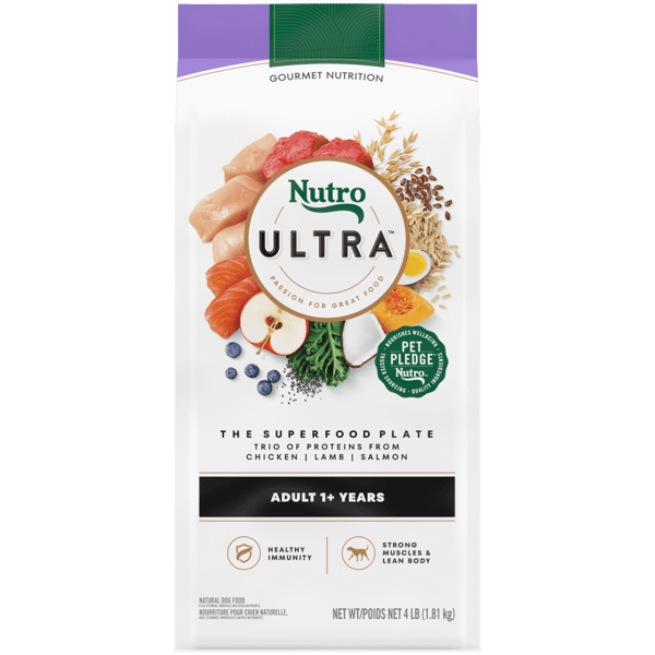 Nutro max dog food discount
