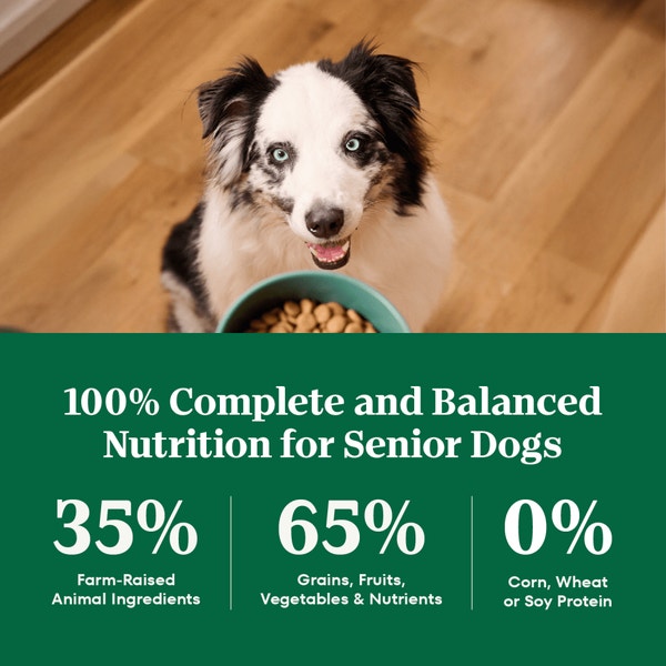 Natural Choice Senior Dog Food, Lamb & Brown Rice image 4