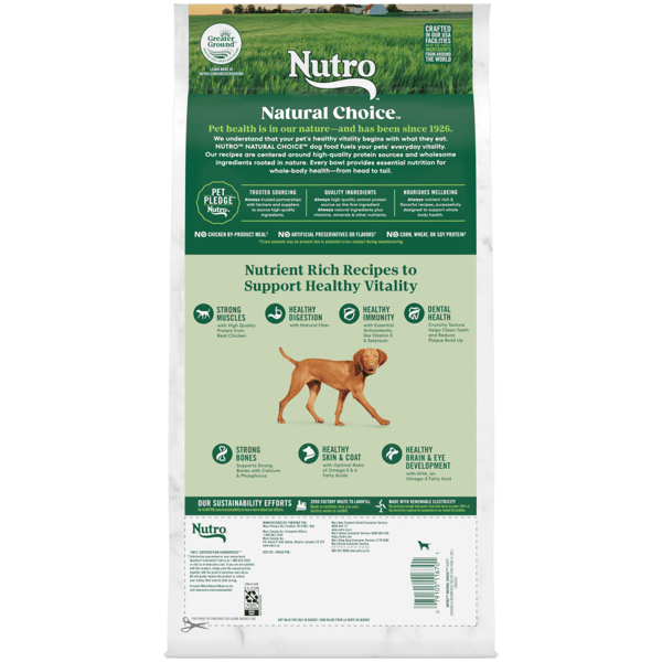 Dog food similar to nutro top