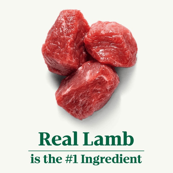 Puppy Lamb and Brown Rice Recipe image 2
