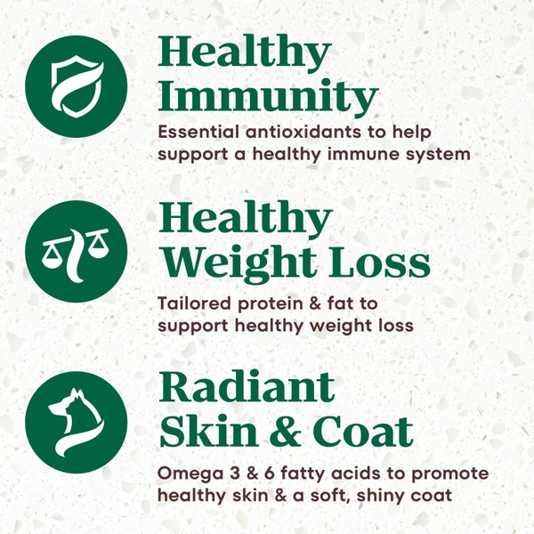 Small Breed, Weight Management, The Superfood Plate with a Trio of Proteins from Chicken, Lamb and Salmon image 4