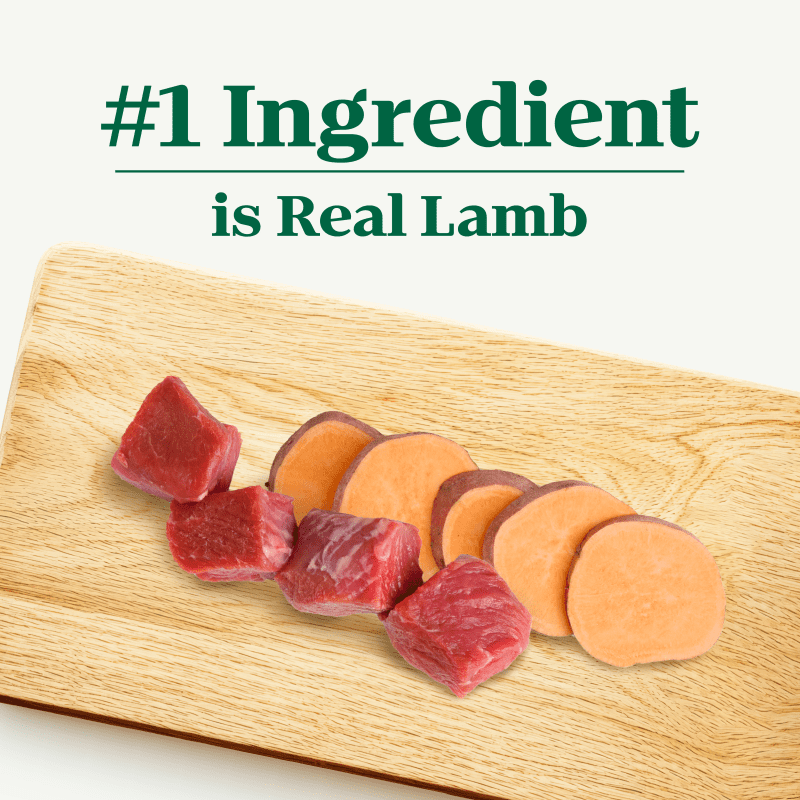 Adult Lamb & Sweet Potato Recipe image 2
