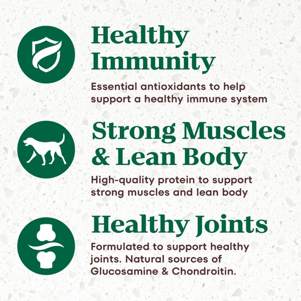 Senior, The Superfood Plate with a Trio of Proteins from Chicken, Lamb and Salmon image 4