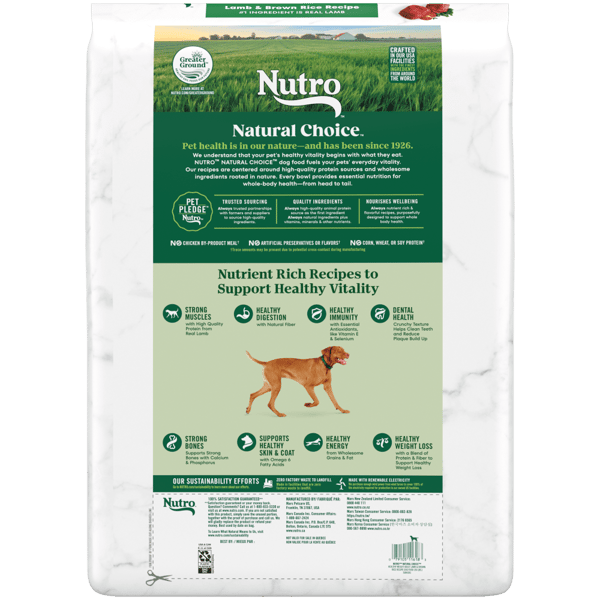 Nutro lamb and rice small bites review top