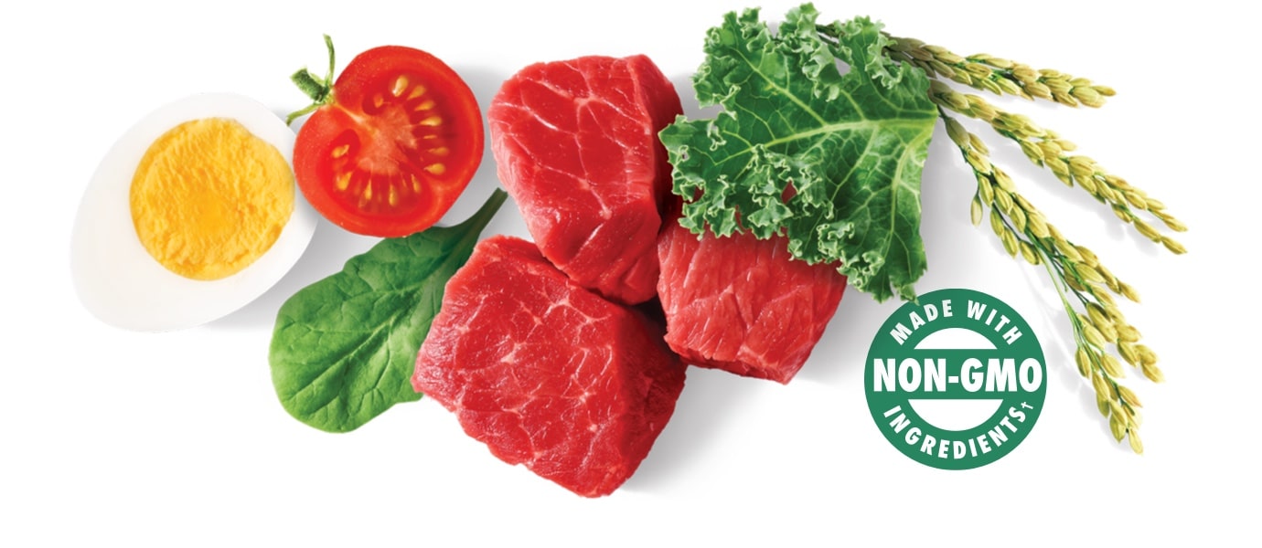 Shop Natural Cat Food NUTRO™