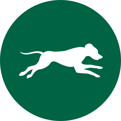 green adult dog running icon