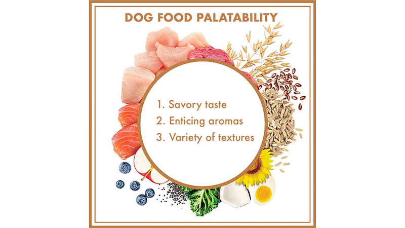 dog food palatability box with raw ingredients