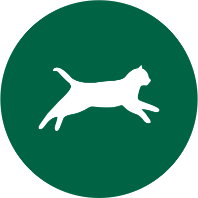 green adult cat running icon
